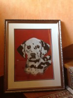 /album/galerie-photos/copie-de-photo-695-jpg/